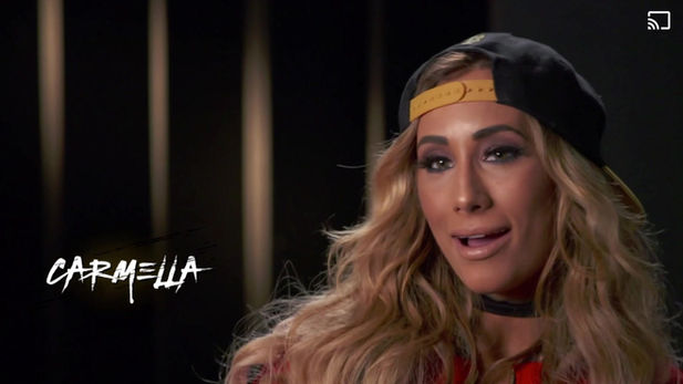 WWE NXT: From Secret to Sensation